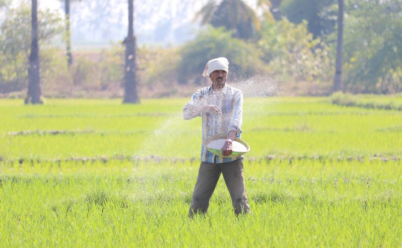 Sembrador de esperanza. Difunde el evangelio.