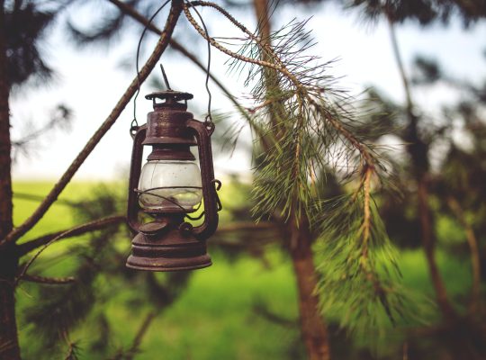 Sembrador de esperanza. Nota pastoral: Profecía o adivinación.
